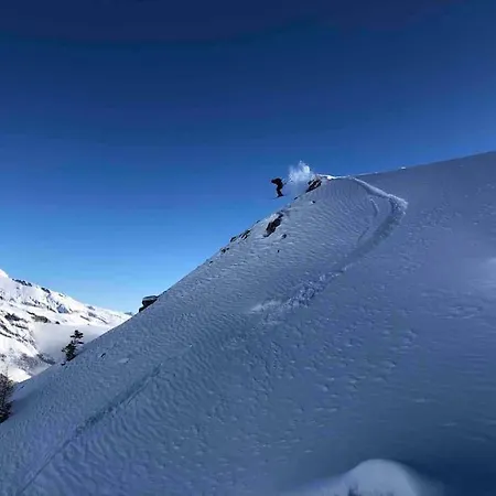 Mountain Retreat With Nordic Hotpot Near Caumasee Apartment Flims
